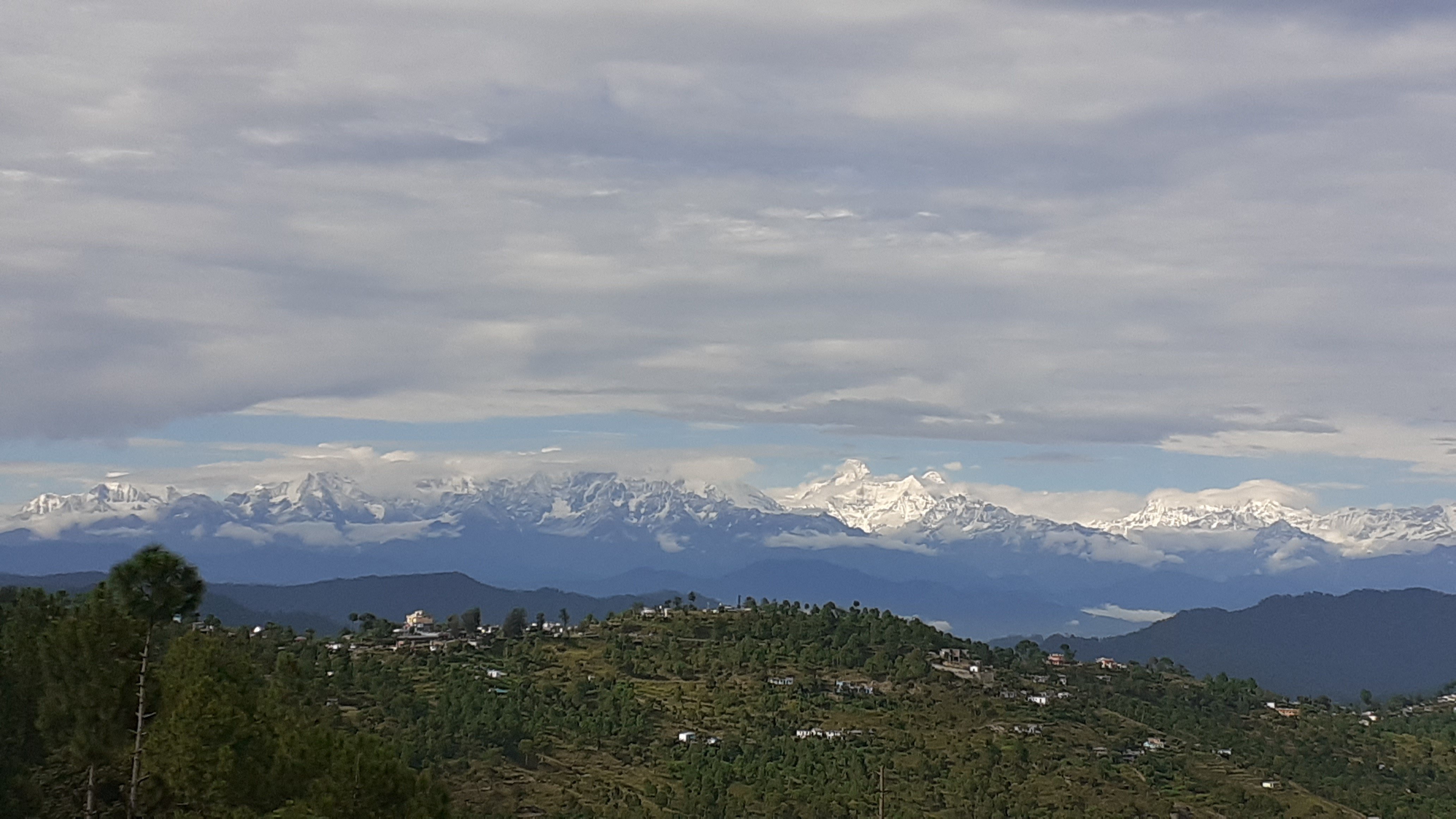 Deodar Homestay-酒店景观