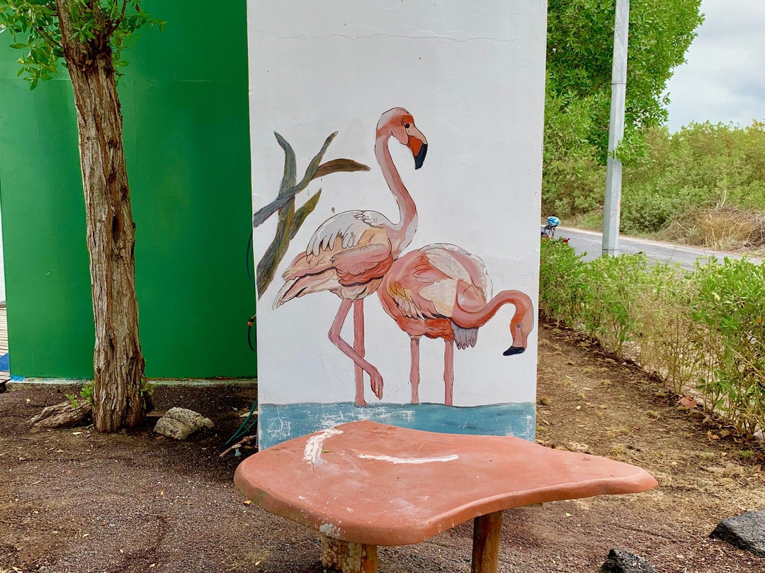 Hostal La Jungla主图