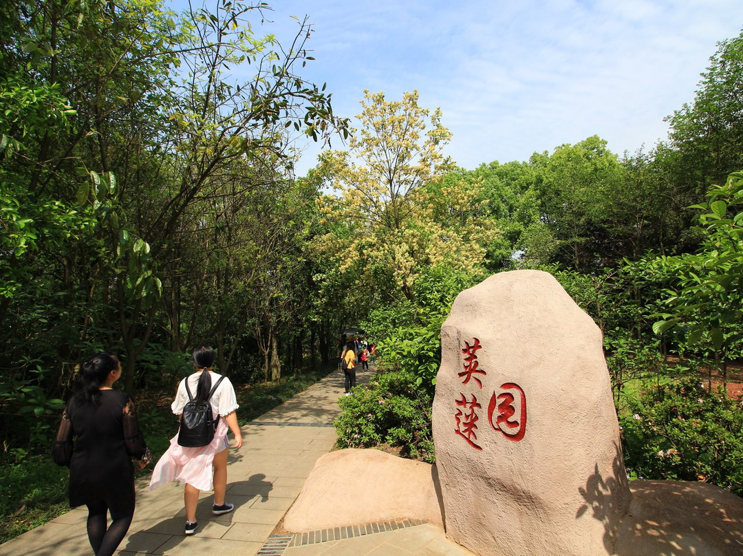 成都植物园-成都必去景点