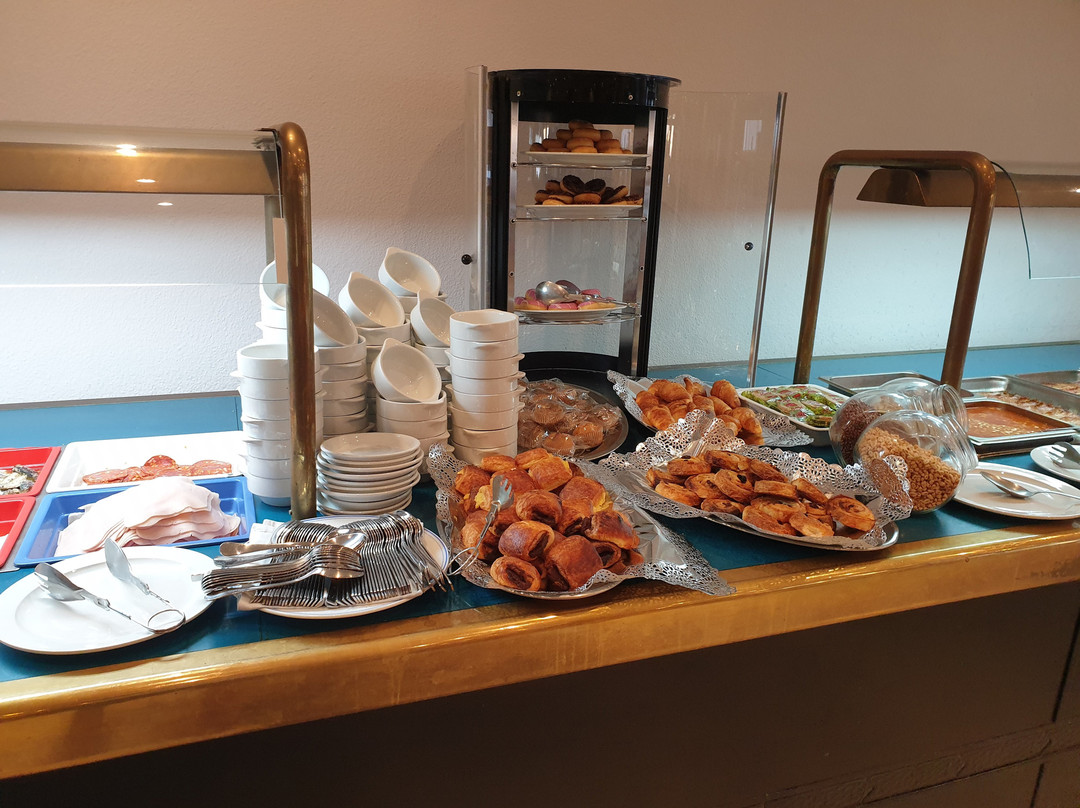 OH 戴安娜公園飯店主图