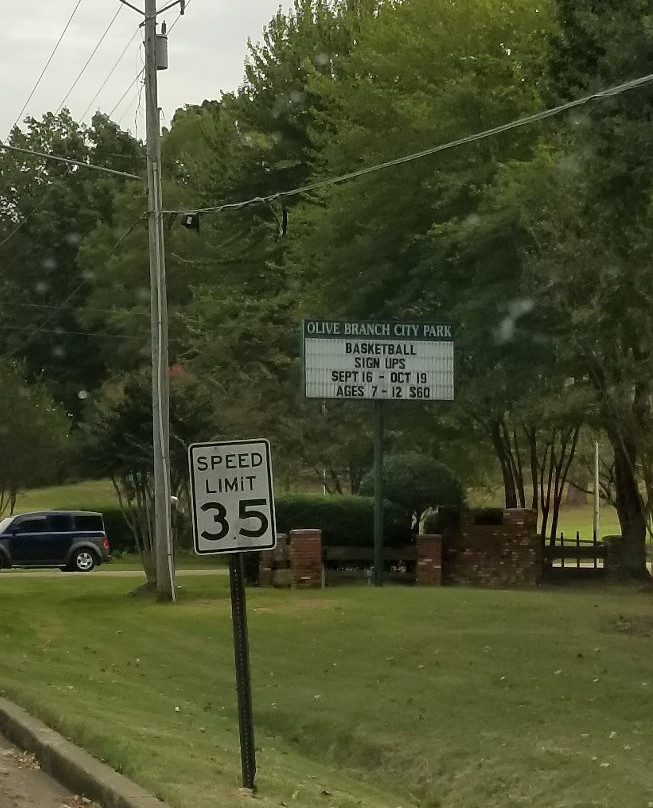 Olive Branch City Park-奥利夫布兰奇必去景点