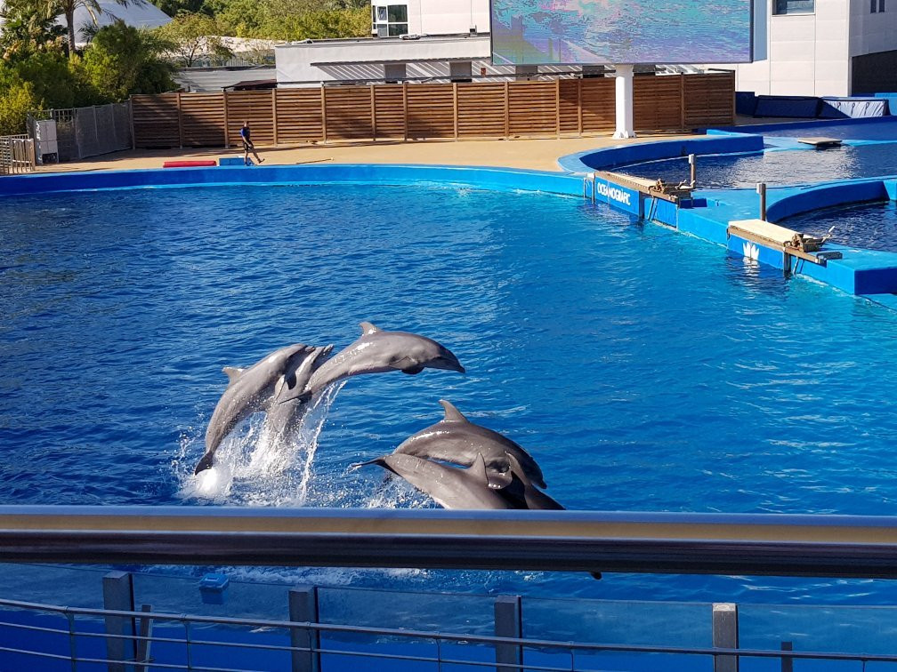 Zoo Aquarium de Valencia-巴伦西亚必去景点