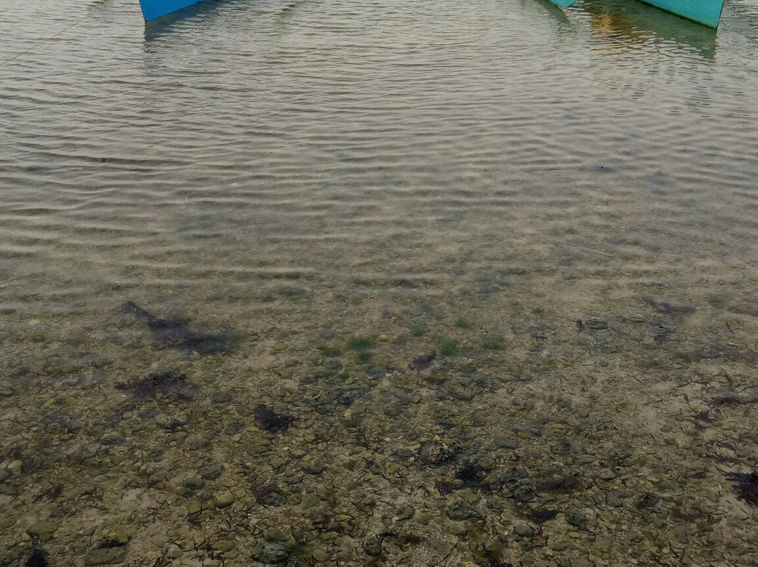 Casa Miranda Guesthouse主图