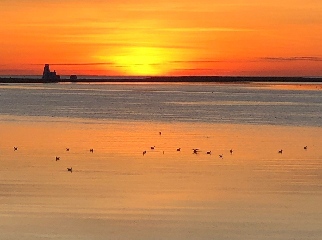 Northport Pier Inn主图