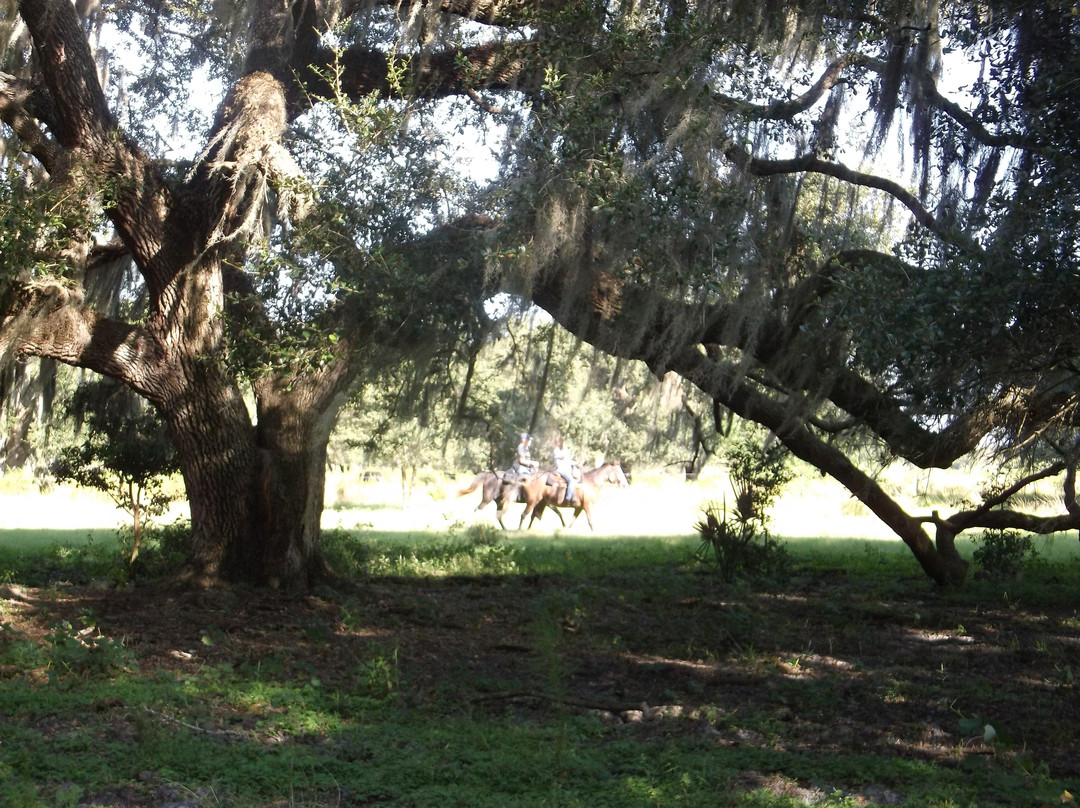 Marshall Hampton Reserve-温特黑文必去景点