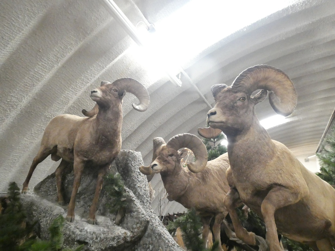 Wind River Heritage Center-Riverton必去景点