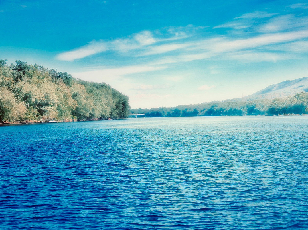 Hiawatha Paddlewheel Riverboat-Williamsport必去景点
