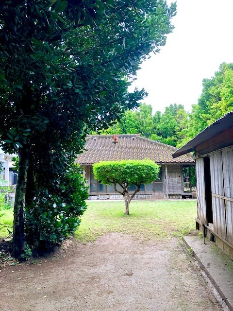 备瀨福木林道景点图片