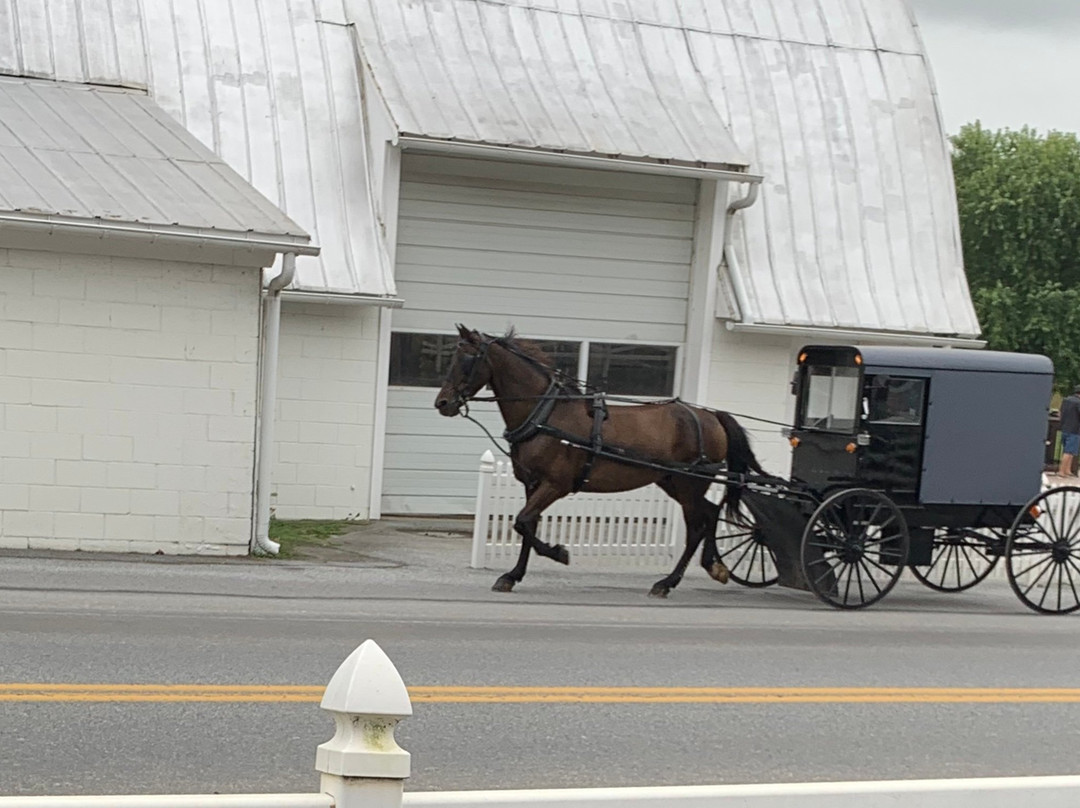 Olde Homestead Suites主图