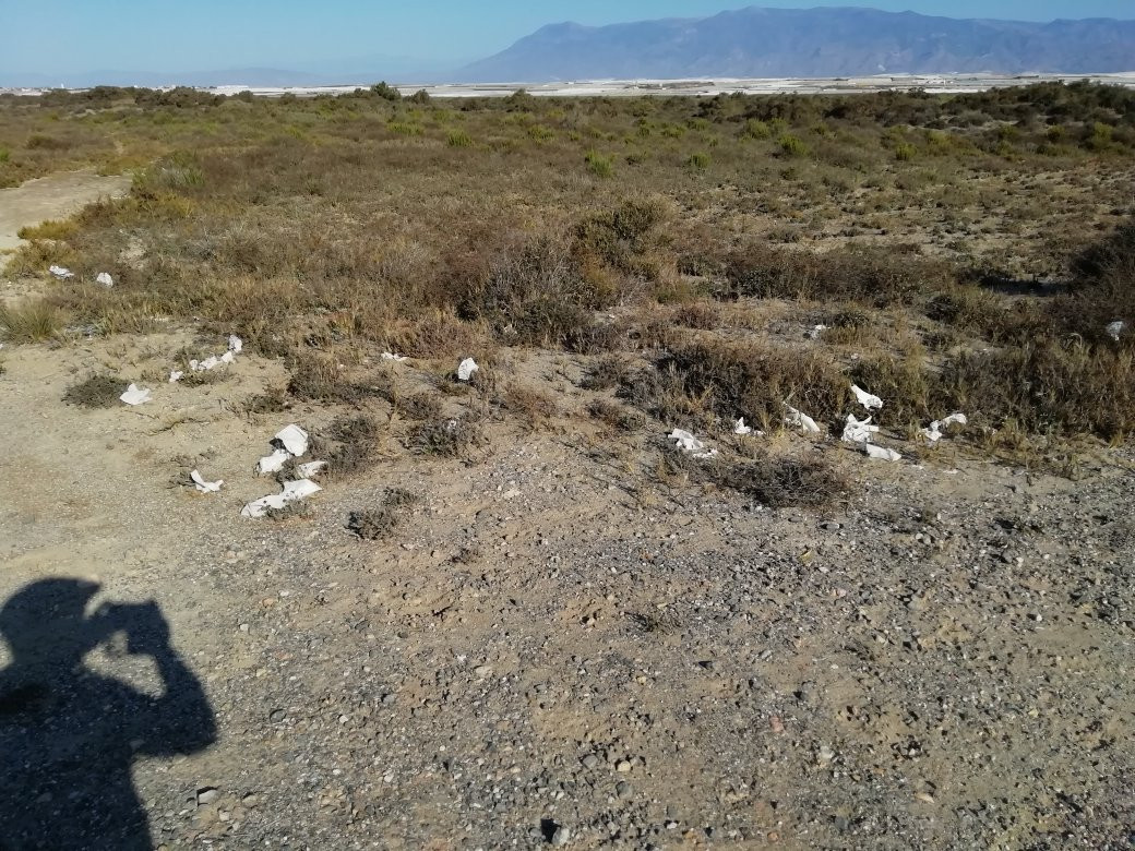Parque Natural Punta Entinas-滨海罗克塔斯必去景点