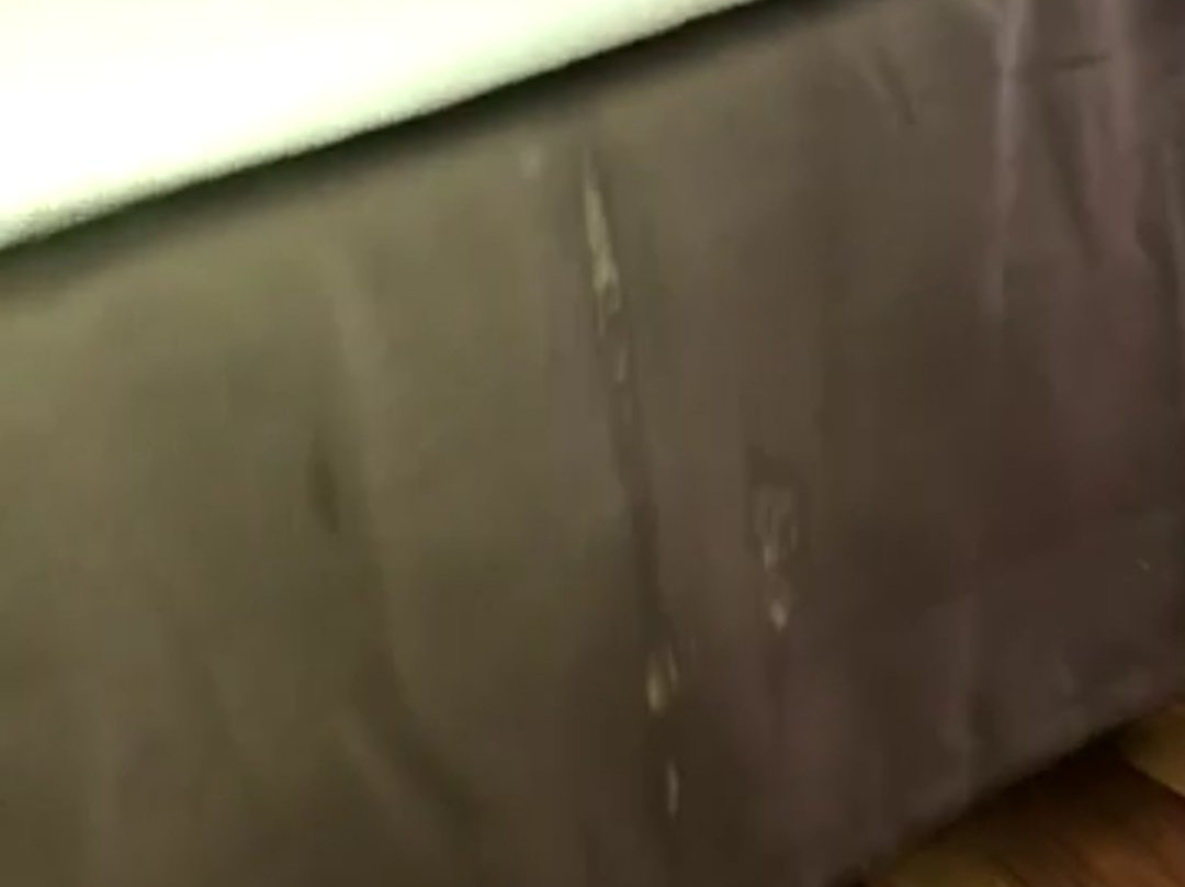 Super 8 by Wyndham Marshall MN主图