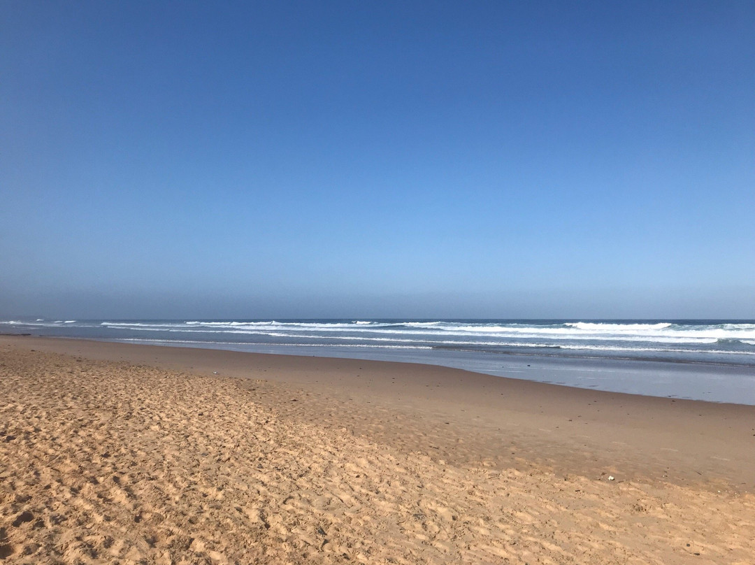 Surf Experience主图