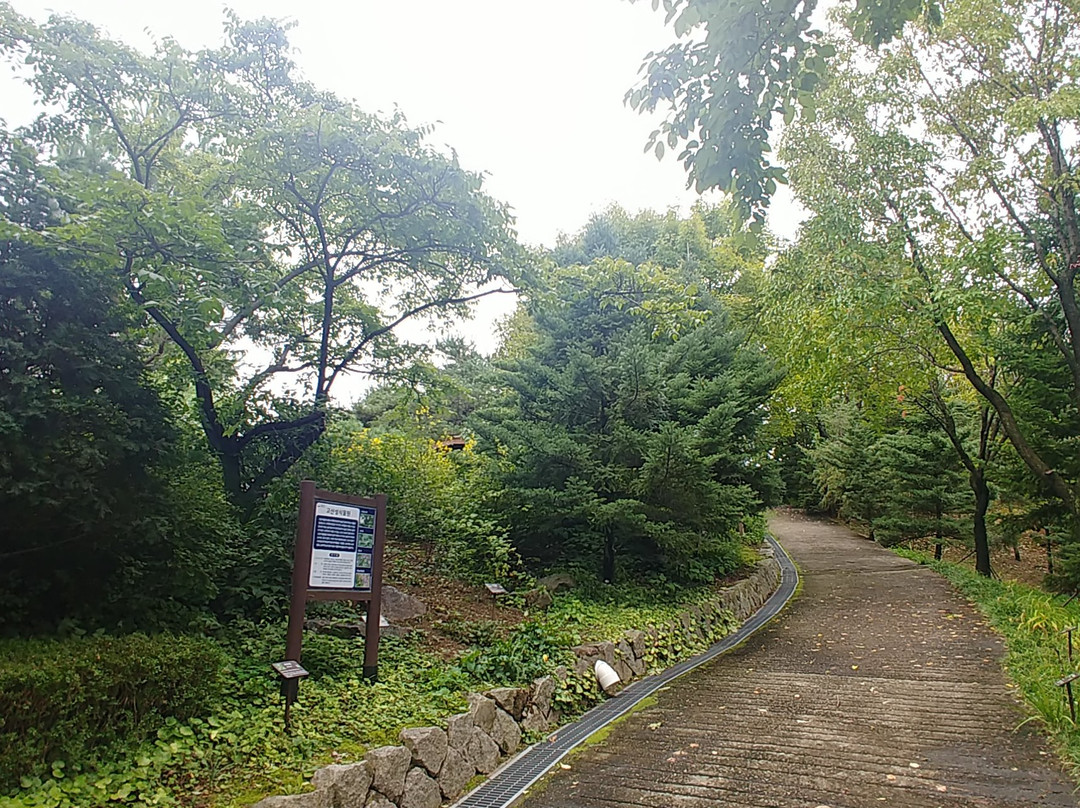 Sungnam Botanical Garden-城南市必去景点