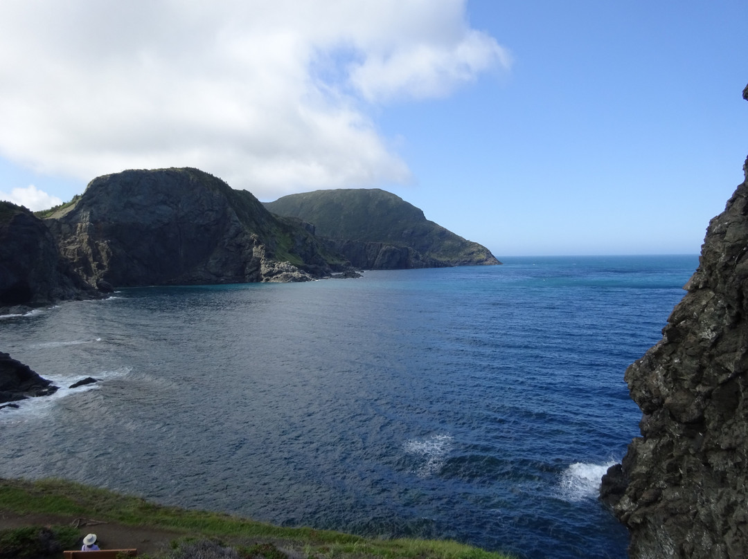 Bottle Cove Beach景点图片