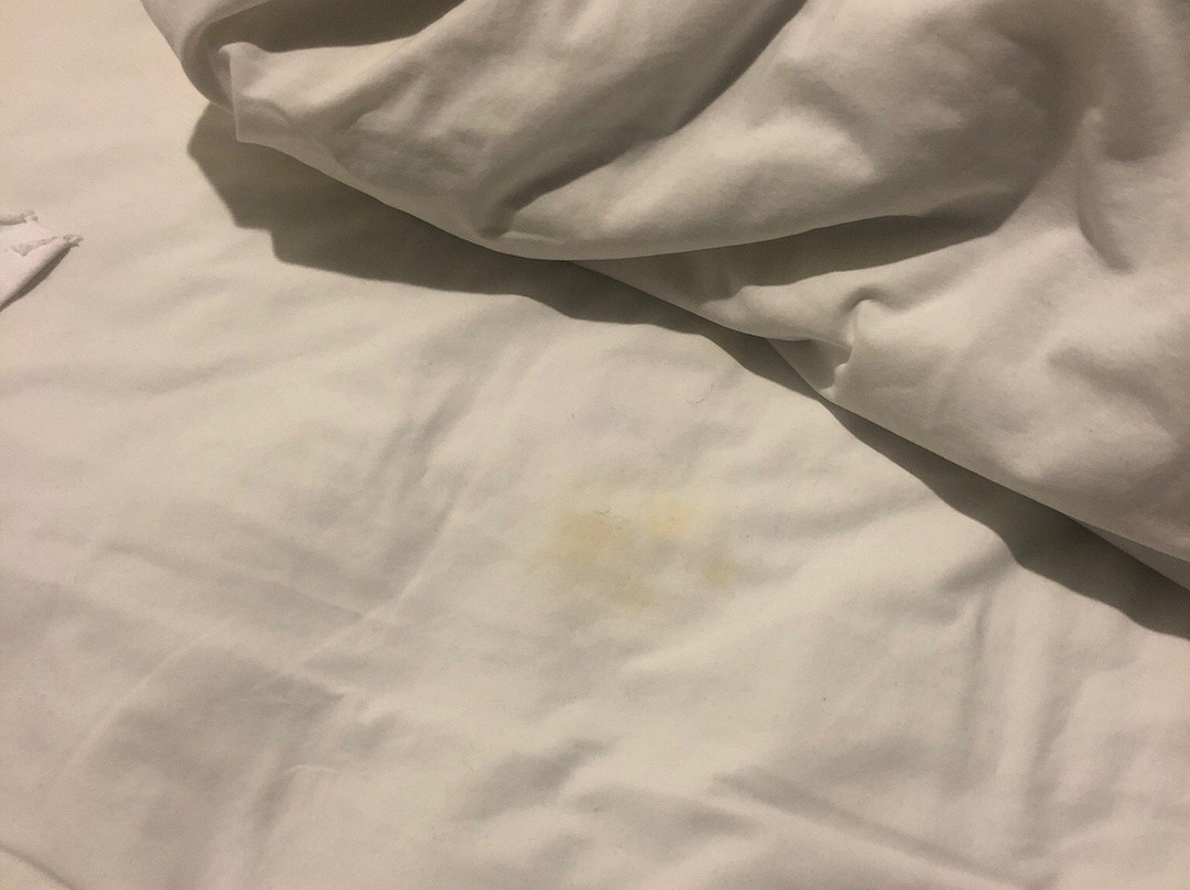 Sundowner Bordertown Motel主图