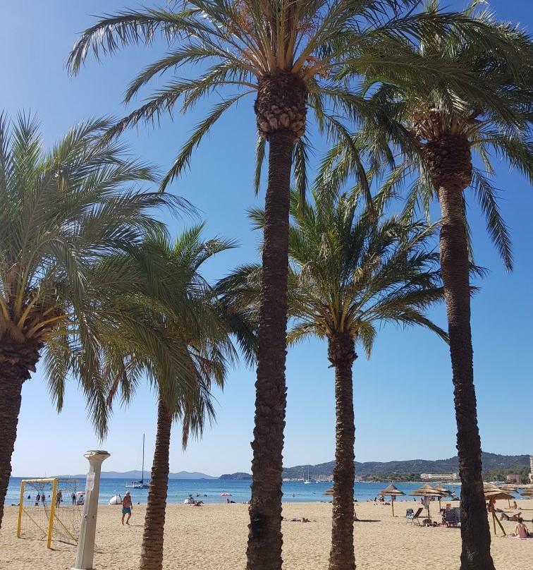 Grande Plage du Lavandou-莱拉旺杜必去景点