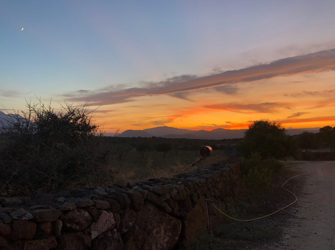 Agriturismo Bio-farm Cucche' di Patteri e Serra-Dorgali必去景点