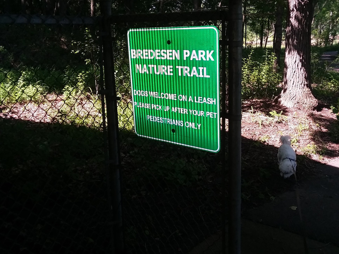 Bredesen Park景点图片