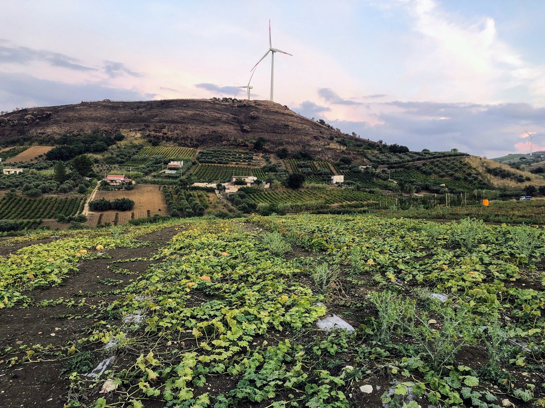 Azienda Agricola Bioviola & Sicilì Bottega Biologica-Alcamo必去景点