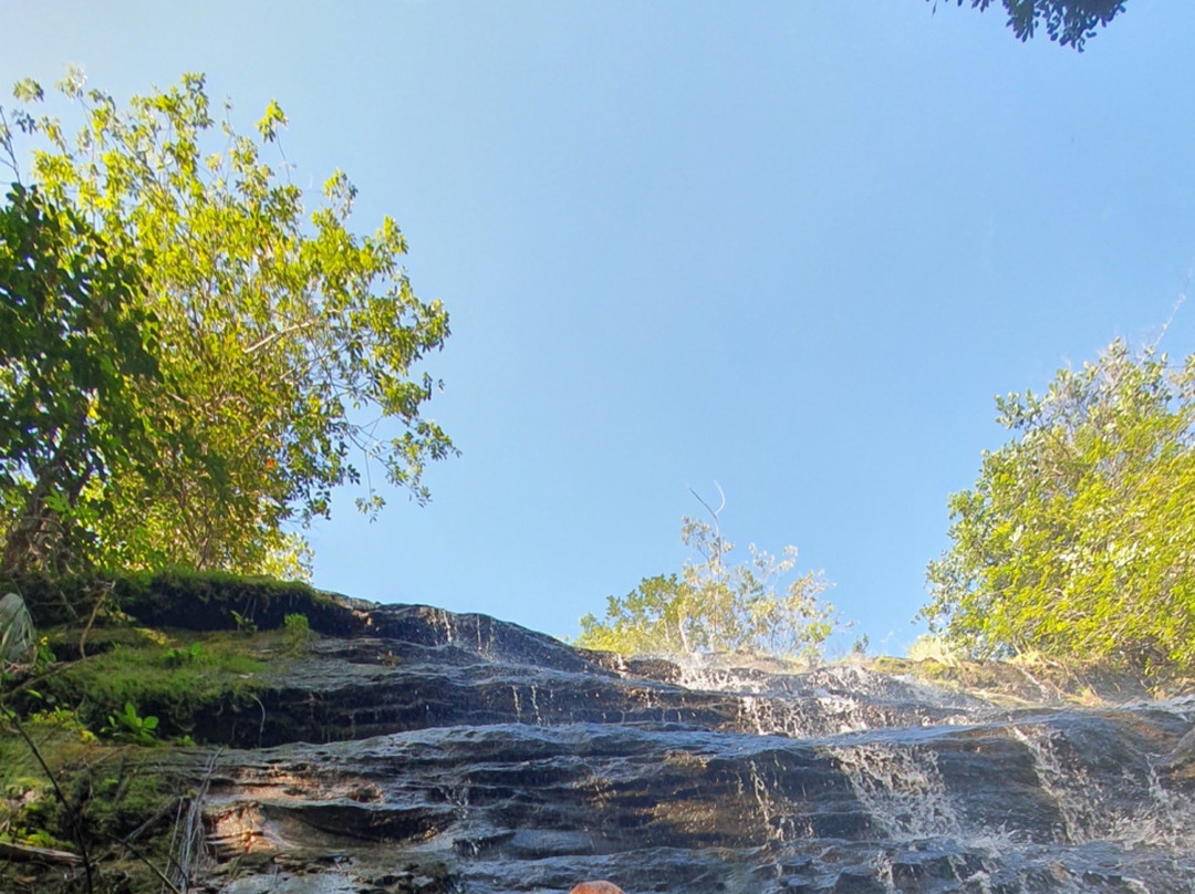 Jardin Botanico de la Macarena-La Macarena必去景点
