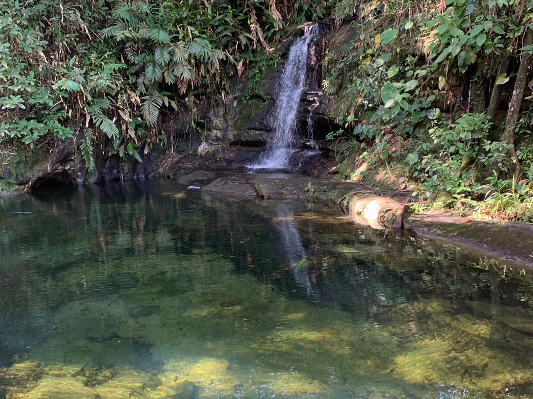 Jardin Botanico de la Macarena-La Macarena必去景点