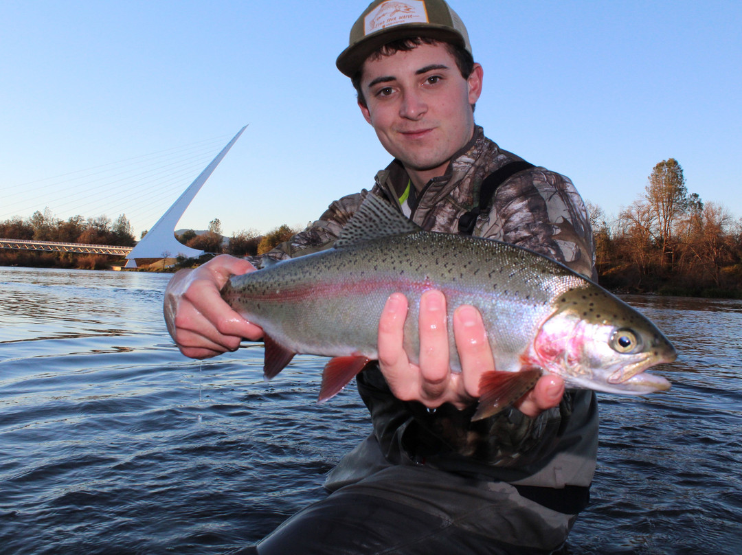 Justin White Fishing-雷丁必去景点