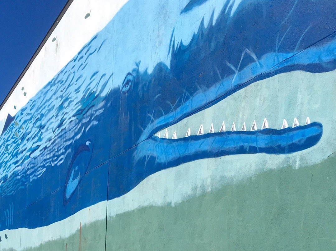Whaling Wall景点图片