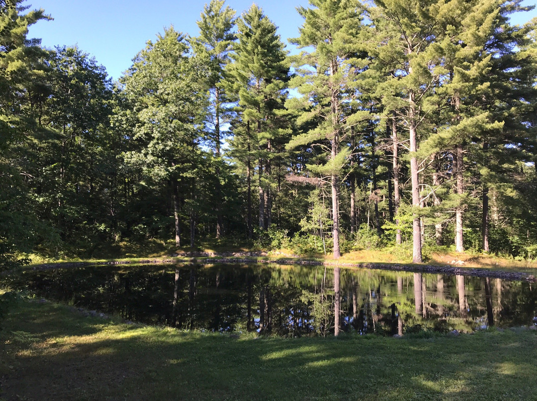 Drumming Woods B&b主图