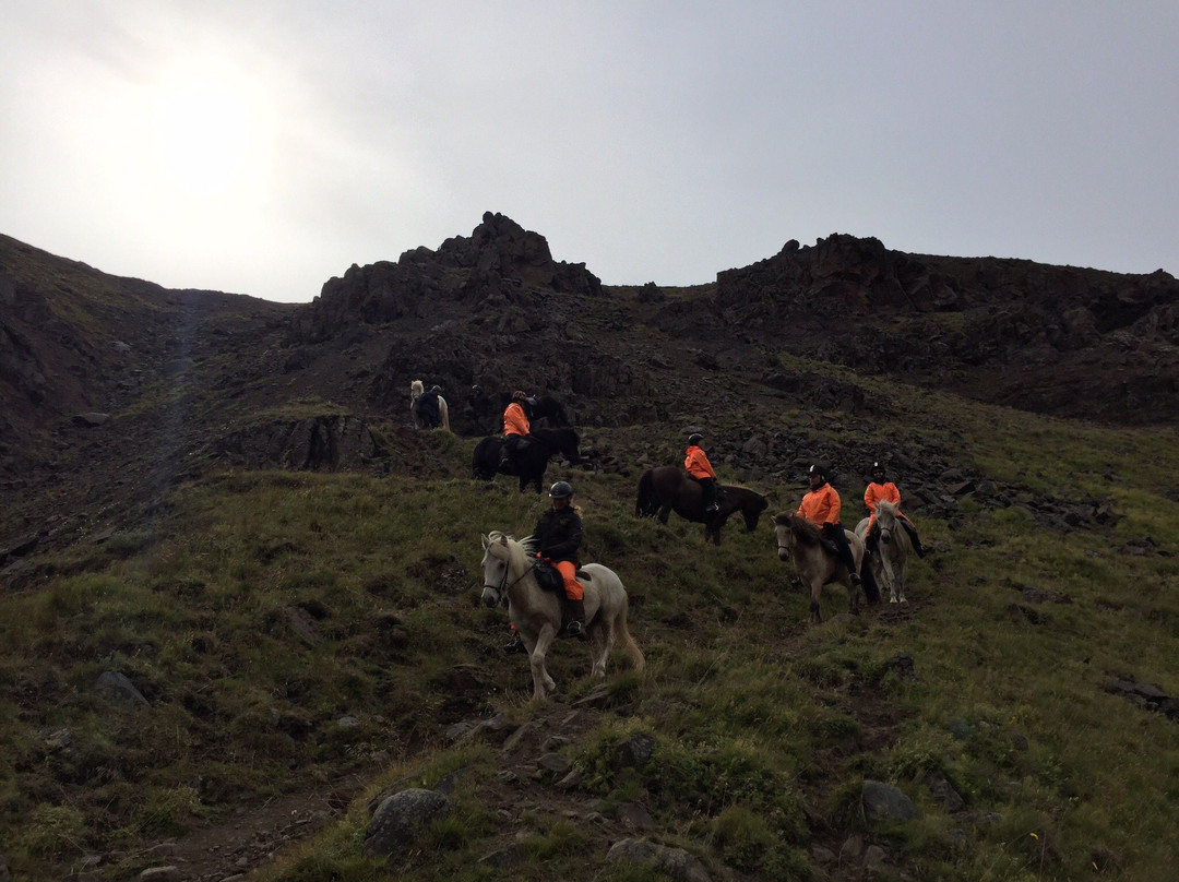 Hestasport - Riding Tours-Varmahlid必去景点