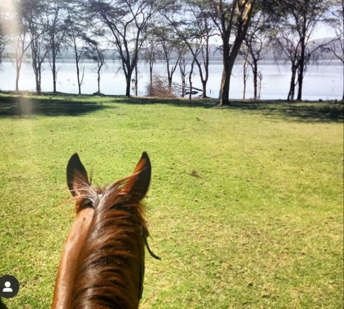 Bellafrica Journeys - Horse Riding Safari-奈瓦夏必去景点