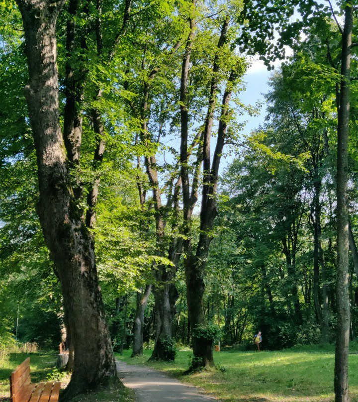 Kurortny Park景点图片