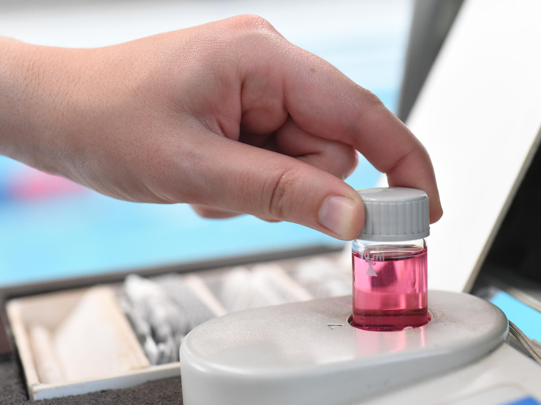 GesLoures | Escola de Natação de Qualidade-Loures必去景点