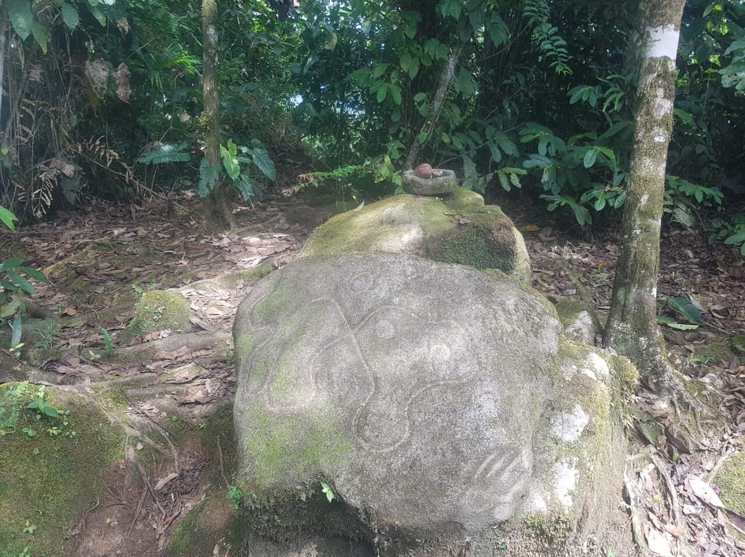 AquaXtreme Tours-Tena必去景点