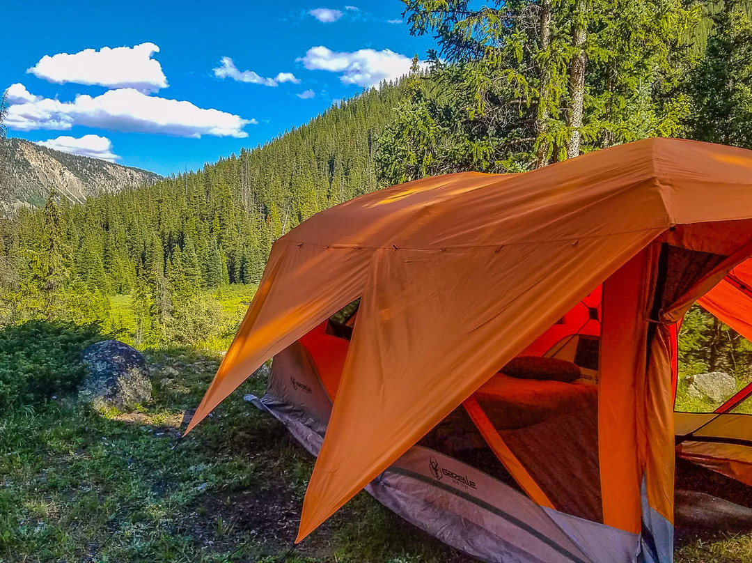 Gunnison National Forest景点图片