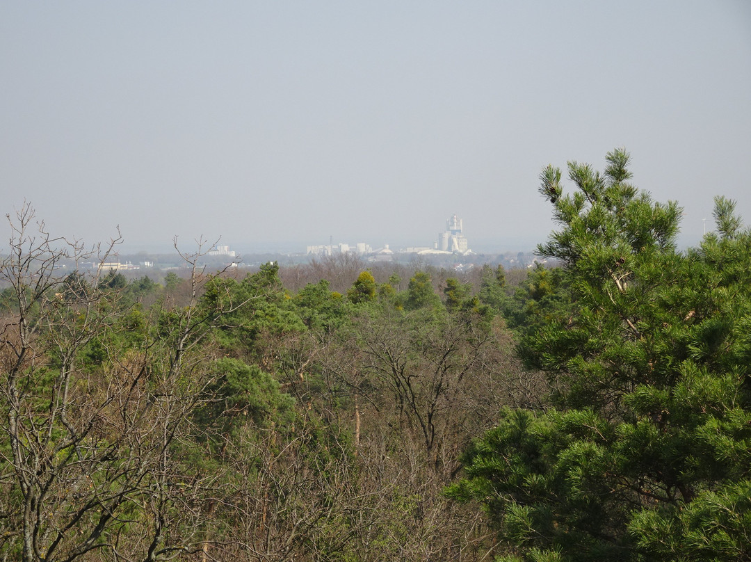 Aussichtsturm Woltersdorf景点图片