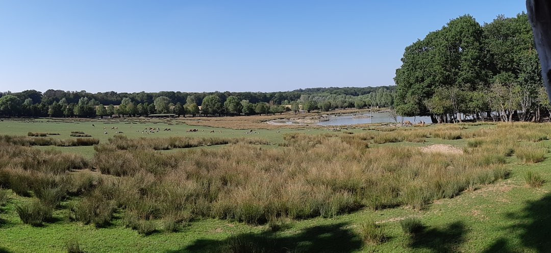 Parc Animalier de Sainte-Croix景点图片