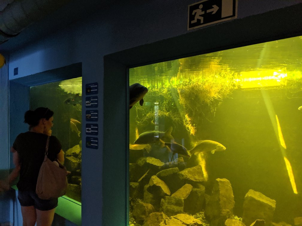 Aquarium Wasserbillig景点图片