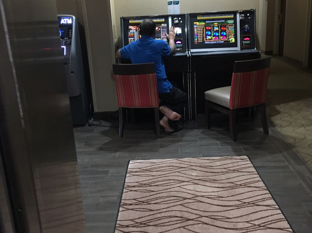 Comfort Inn Meadowlands主图