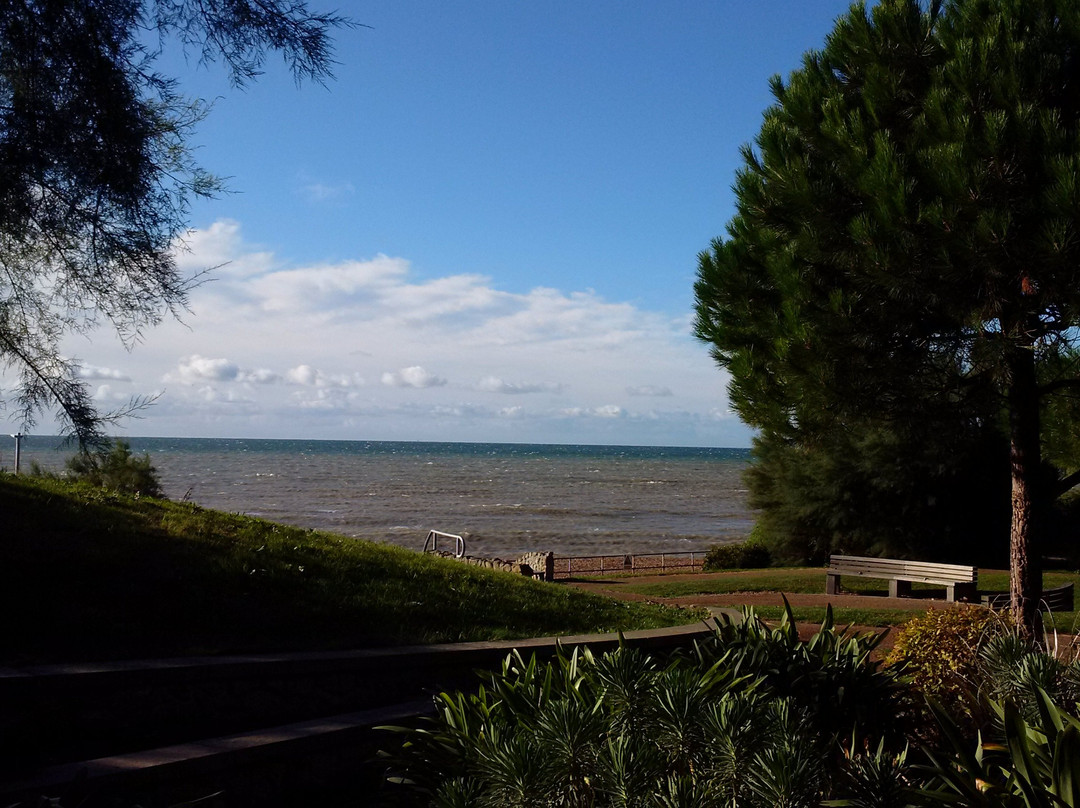 Lower Leas Coastal Park-福克斯通必去景点