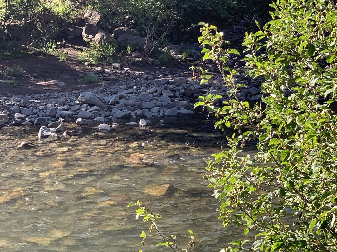 Circle K Guest Ranch主图