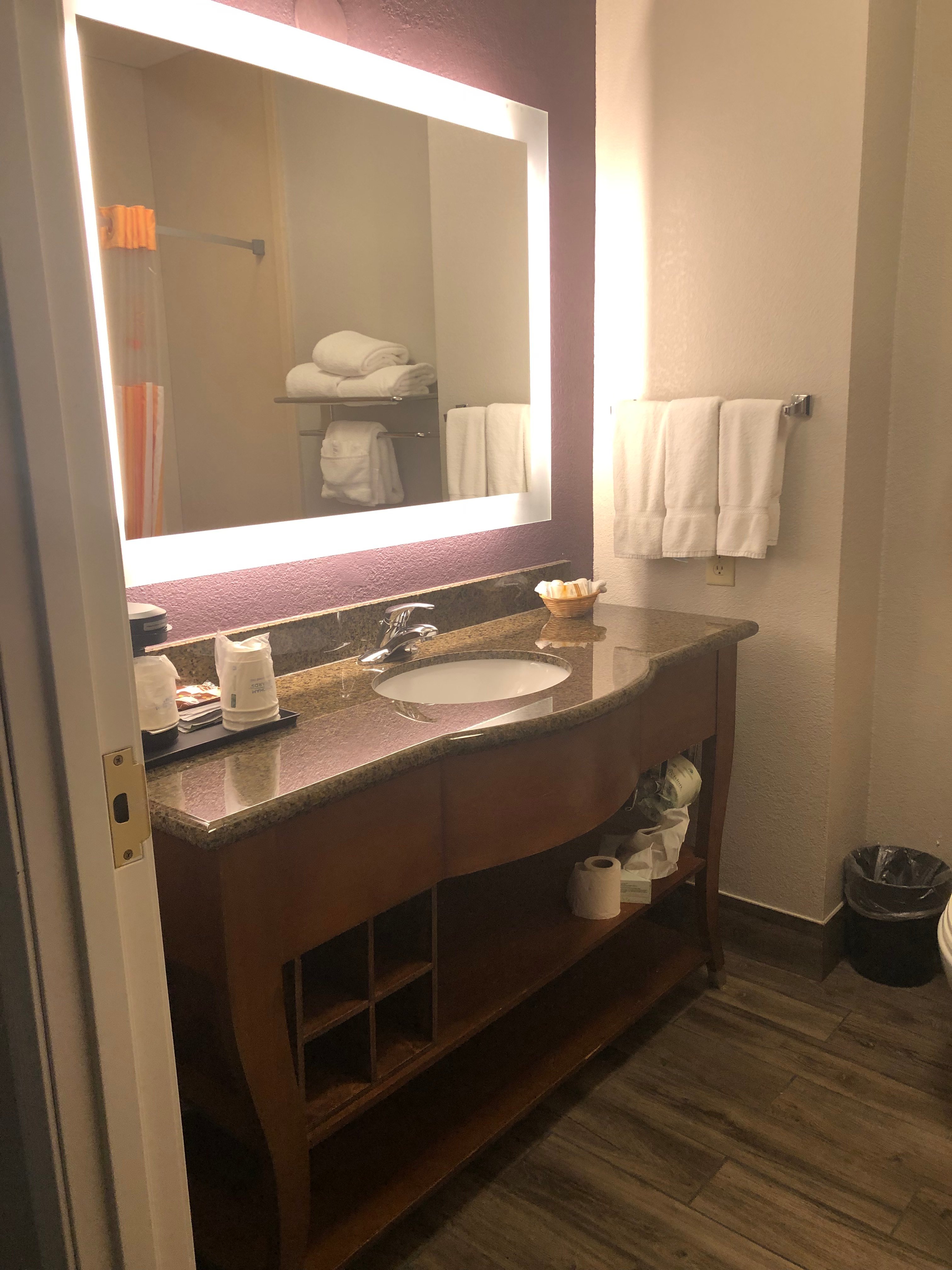 La Quinta Inn & Suites by Wyndham Gainesville-浴室