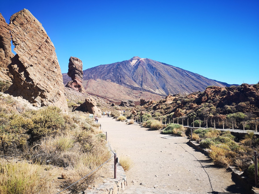 Atlantico Excursions-特纳里夫必去景点