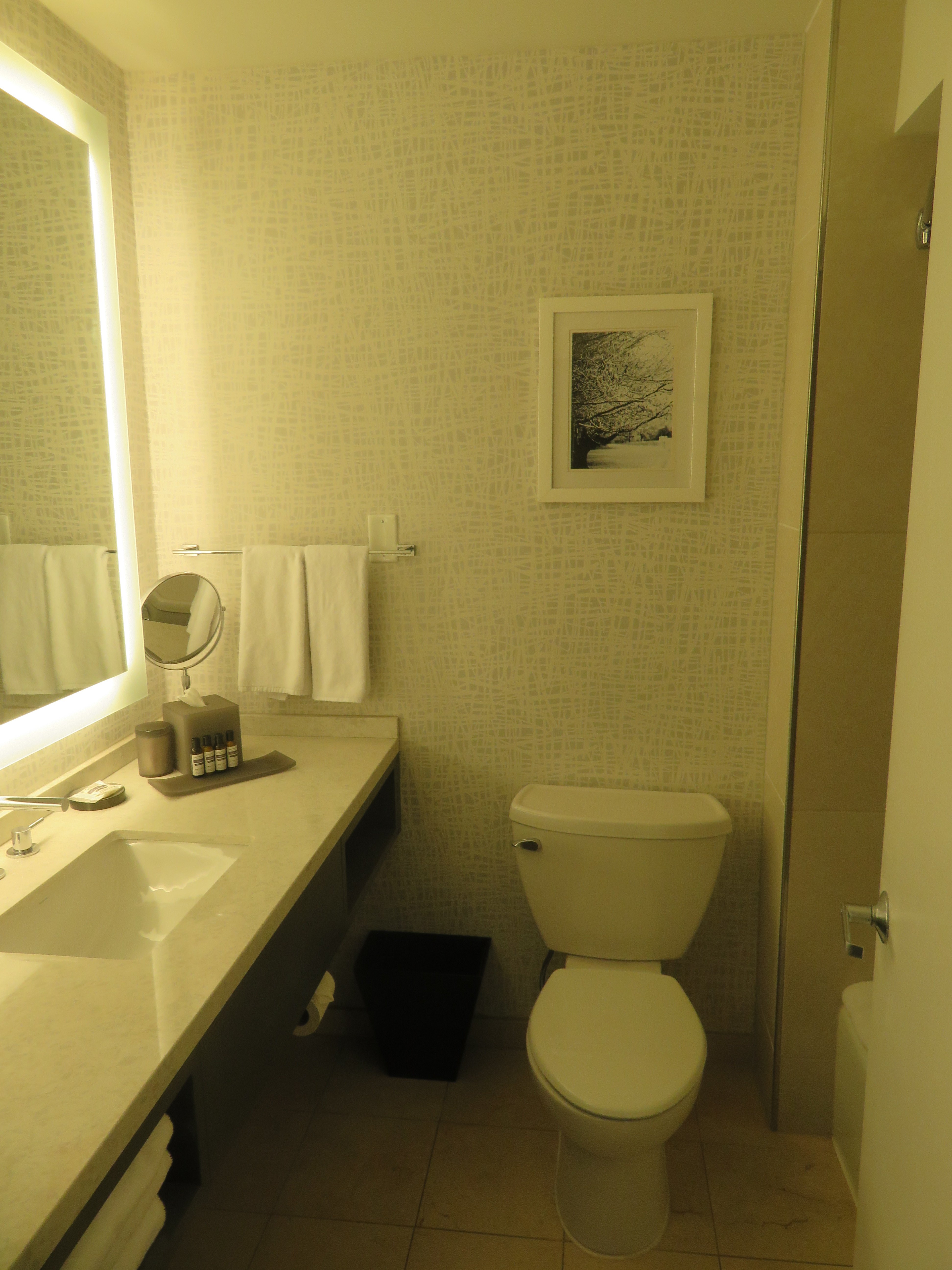 Hyatt Regency Cincinnati-浴室