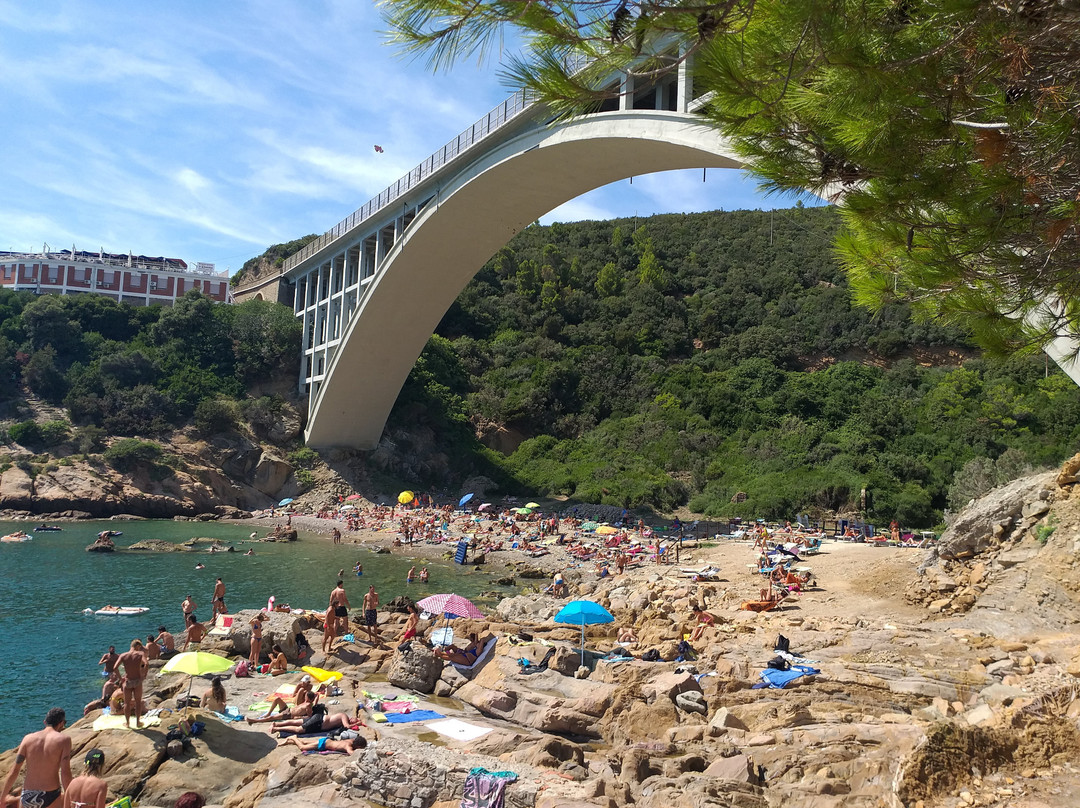 Spiaggia di Calignaia景点图片