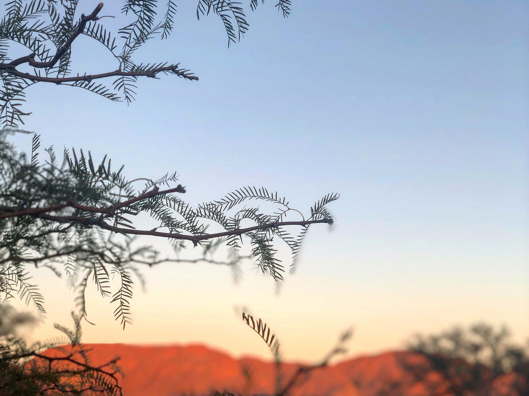 纳米布沙漠哈默斯坦旅馆主图