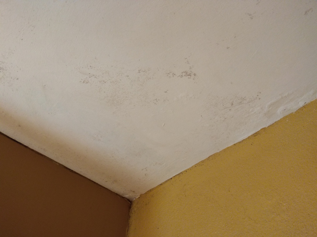 Santa Marina Guesthouse主图