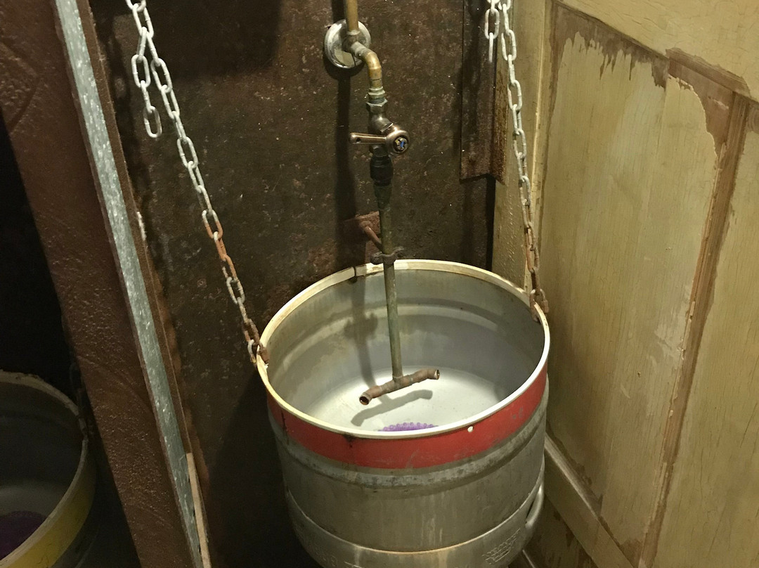 Middleton Brewing-圣马科斯必去景点