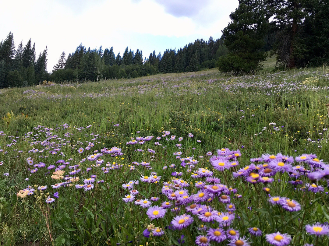North Tenmile Trail #37-弗里斯科必去景点
