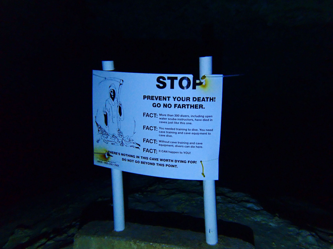 Dive Cenotes Mexico-艾库玛尔必去景点