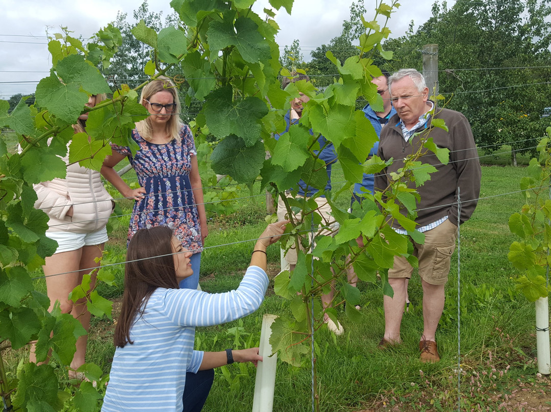 Poulton Hill Estate主图